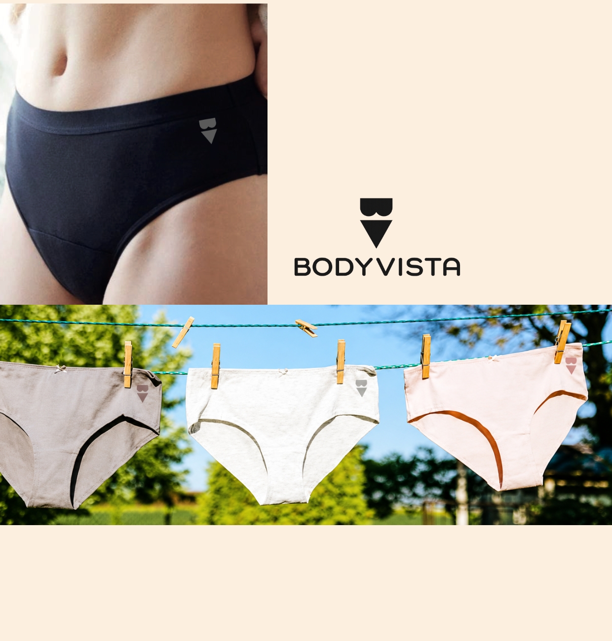 BodyVista underwear with the B/V glyph beside the BodyVista logotype