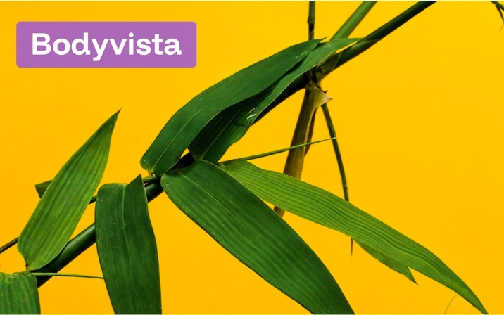BodyVista case study